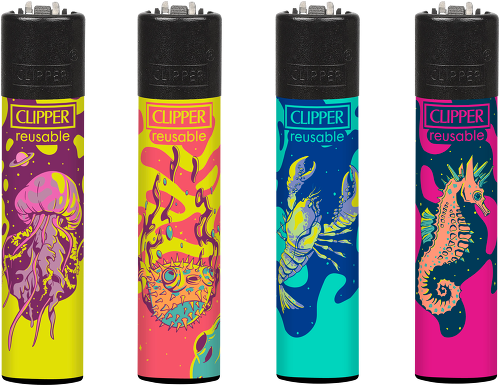 Mignot & De Block exclusief verdeler van Clipper in Benelux