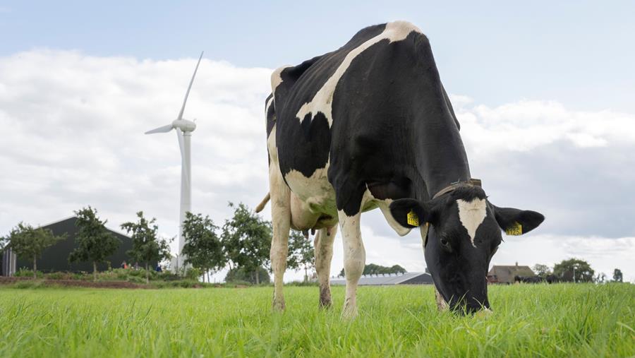 Les producteurs laitiers de FrieslandCampina reçoivent 245 millions d'euros de surtaxes
