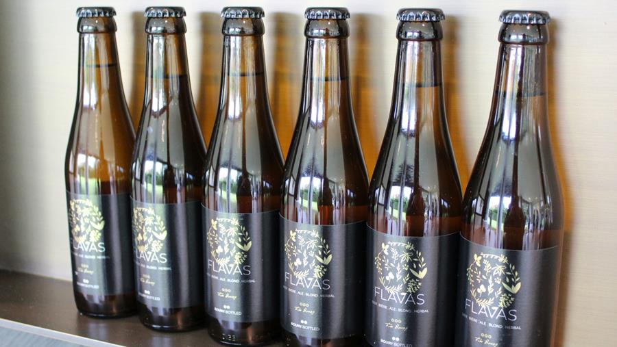 Flavas: nieuw bier van Boury x Kazematten